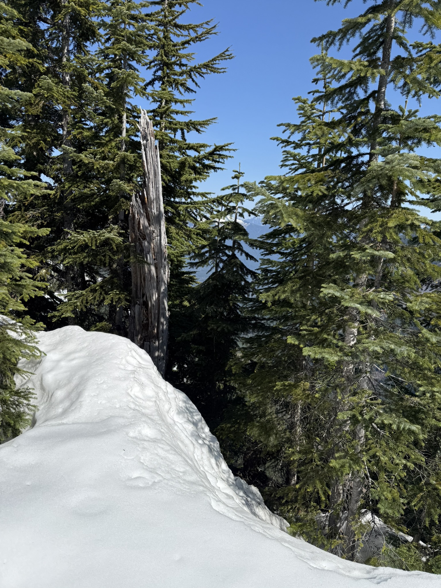 Hike Photos.