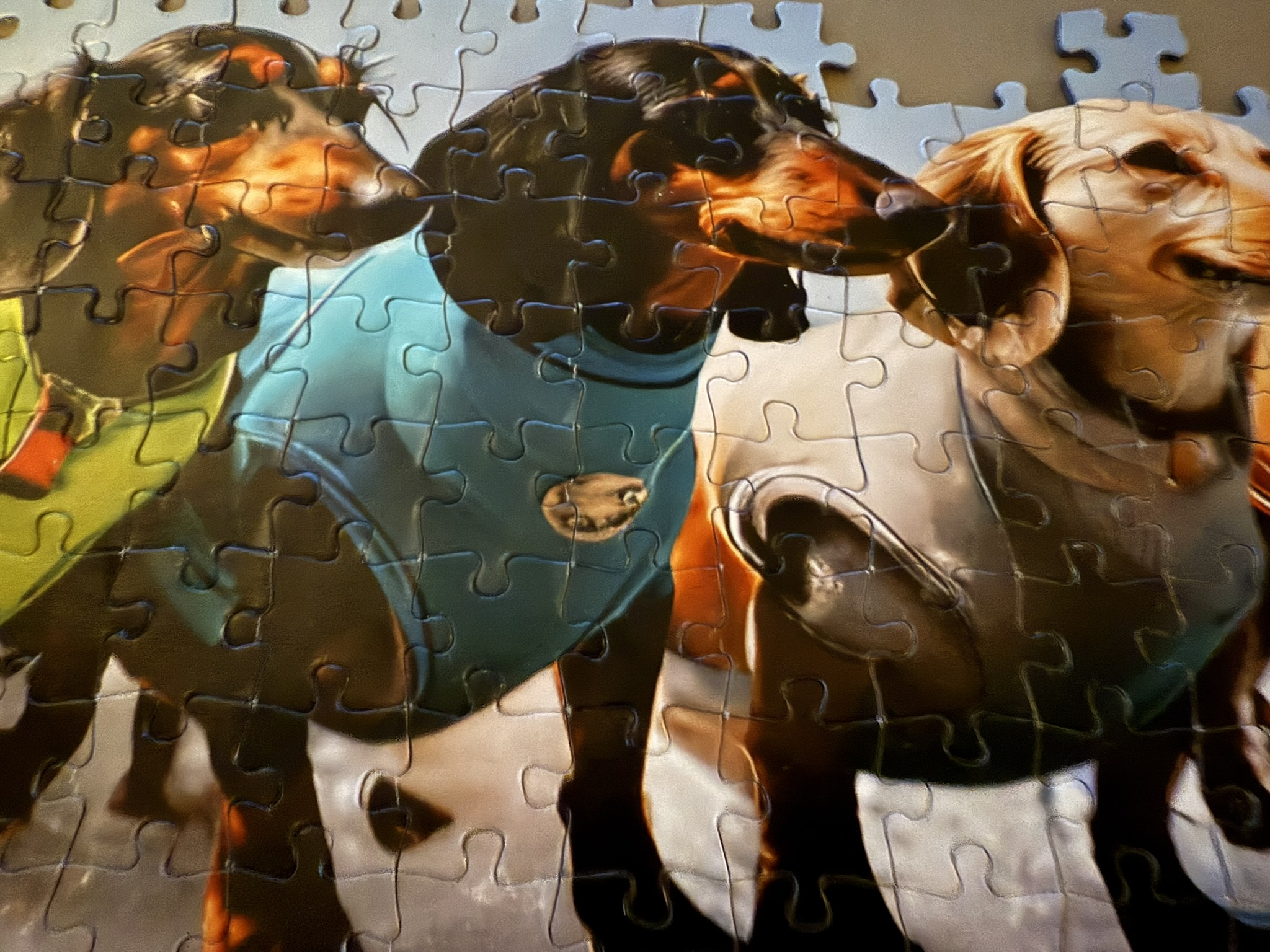 Puzzle!