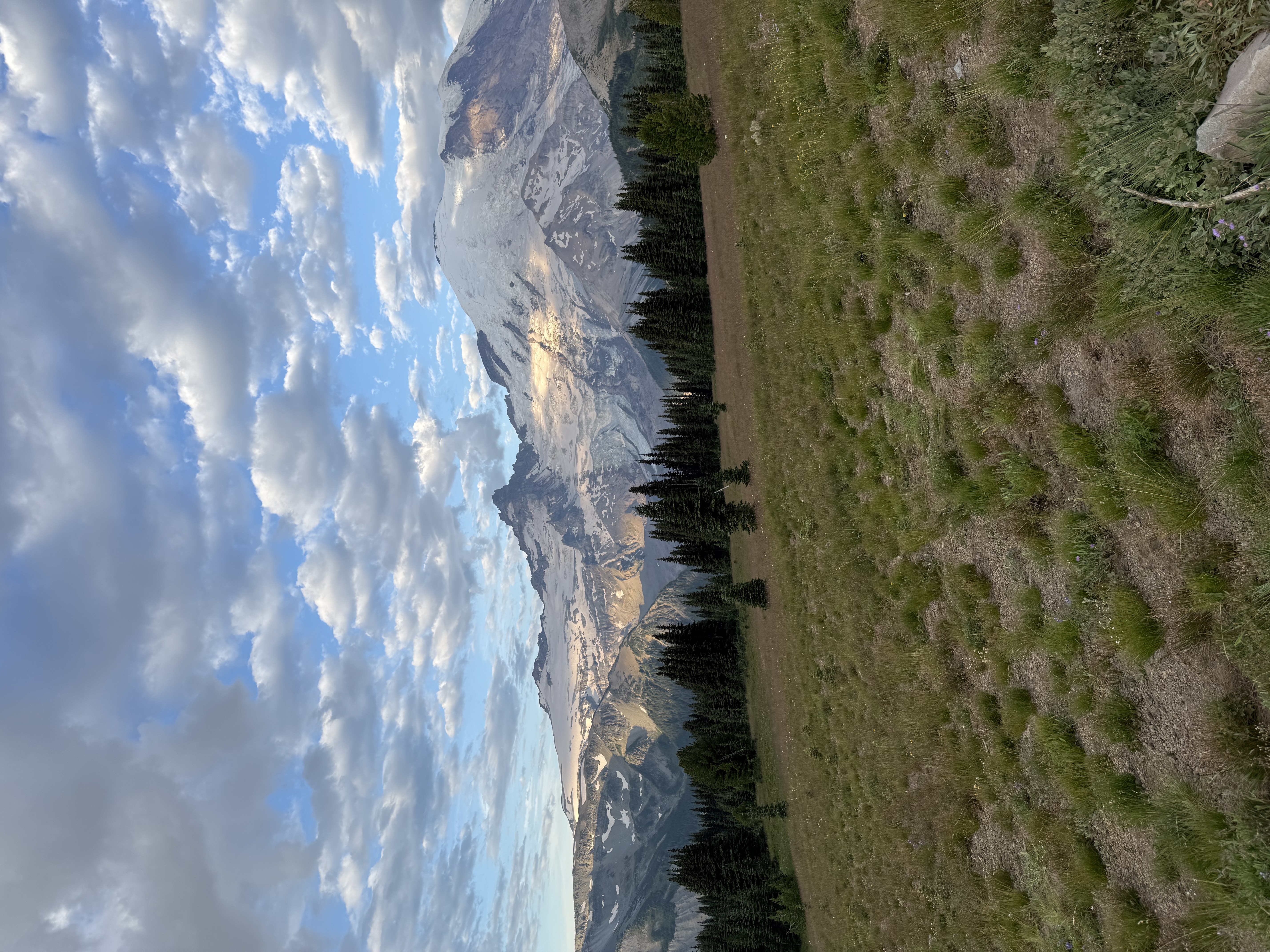 Hike photo dump