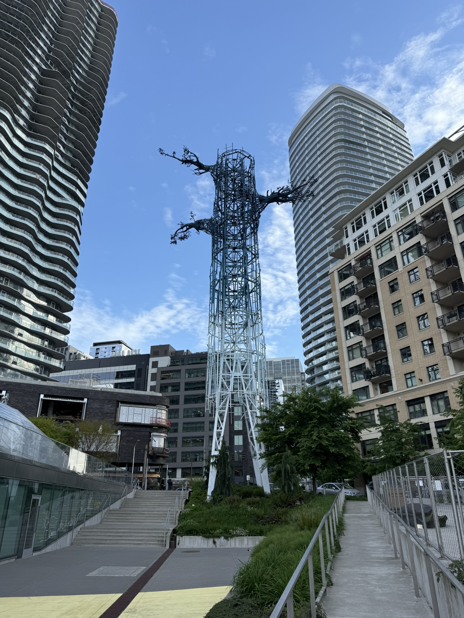 A weird urban tree